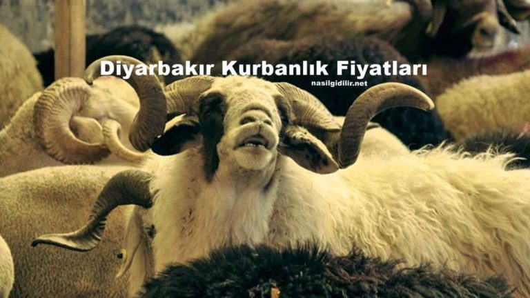 Diyarbakir Sacrifice Prices 2022